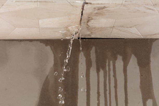 Professional Water Damage Inspection technician working in Richardson, TX